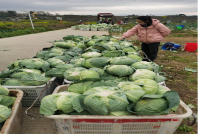 食用農產品零售市場新觀察 品質、渠道與消費趨勢的嬗變